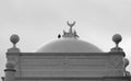 Islamic mosque exterior, birds perch in white building top