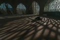 Islamic photo. Muslim man praying in a mosque. Shadows of window on the ground