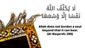 islamic quotes. quran motivation quotes