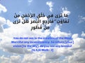 islamic quotes. quran motivation quotes