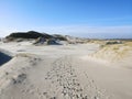 Dunescape in Amrum with lighthouse against sunset Royalty Free Stock Photo