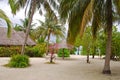 Island Beach Cottage with Trees and Little Rest Hut