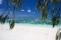 Island beach and trees Royalty Free Stock Photo