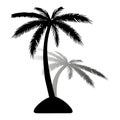 Island. Black silhouette of palm tree, with shadow on white back Royalty Free Stock Photo