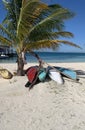 Island canoes laid on white sands under a palm tree