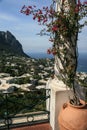 Island of Capri Royalty Free Stock Photo