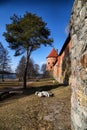 Island castle in Trakai and tourist near it. One of the most popular touristic destinations in Lithuania in early spring Royalty Free Stock Photo