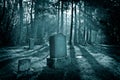 Island Cemetery Royalty Free Stock Photo