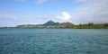 Island cerf on mauritius Royalty Free Stock Photo