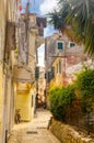 The island of Corfu. Streets of the city of Kerkyra, Ancient architecture. Summer landscape