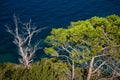 Elba Island, rugged cliffs and transparent turquoise water, Italy, Tuscany.