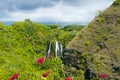 Island falls in the jungle hawaii kawaii united states