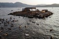 An island for feeding and life of birds in the bay of the Aegean Sea near the town of Fethiye Royalty Free Stock Photo
