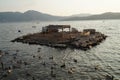 An island for feeding and life of birds in the bay of the Aegean Sea near the town of Fethiye Royalty Free Stock Photo