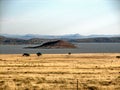 Island in Gariep Dam Royalty Free Stock Photo