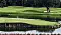 The 17th Island Green at TPC Sawgrass in Florida is an Awesome Sight. Royalty Free Stock Photo