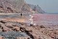 Island Hormuz in Persian Gulf, Iran, tourist walks on beach. Royalty Free Stock Photo