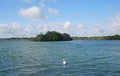 Island on Hornsea Mere - blue sky - swan Royalty Free Stock Photo