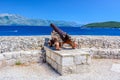 Island Korcula landscape in Croatia. Royalty Free Stock Photo