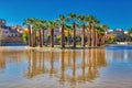 An island in the lake with date palms in the city of Fes in Morocco