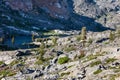 Mountain Lake Scenery in Desolation Wilderness, Northern California Royalty Free Stock Photo