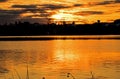 Island Lake Painted Gold By Sunrise Royalty Free Stock Photo