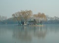 The island in the lake