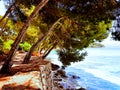 Island landscape, seascape of Mallorca Spain, idyllic coastline of Cala Rajada