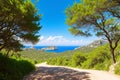 The island of Mallorca is one of the Balearic islands.