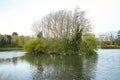 Island in the middle of a green pond. The green bushes and trees offers protection to the wild birds.