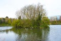 Island in the middle of a green pond. The green bushes and trees offers protection to the wild birds.