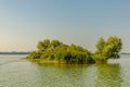 Island in the middle of lake. Small island covered by green grass. Malinovyye Ostrova on Senezh lake