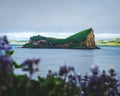 Island in the middle of the ocean with lupins in the foreground, Umnak, Alaska