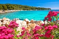 Island of Murter turquoise lagoon beach Slanica and red flowers view Royalty Free Stock Photo