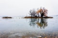 Island and mysterious afternoon fog over river. Little desert island with trees and fog. Royalty Free Stock Photo