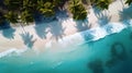 Island Oasis: Drone\'s View Puts Pristine Beach and Palm Trees on Display