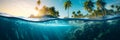 Island in ocean, abstract see environmental background. Long banner with view on under water life, deep blue water and Royalty Free Stock Photo