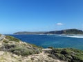 Island off the coast with coastal bush in foreground