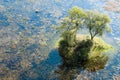 Island in the Okavango Delta seen from a heli