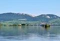 The island with the old church in the middle of the lake. Landscape under Palava. Czech Republic - South Moravian Region wine