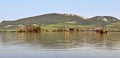 The island with the old church in the middle of the lake. Landscape under Palava. Czech Republic - South Moravian Region wine