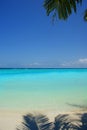 Island Paradise - Palm trees hanging over a sandy white beach with turquoise ocean. Royalty Free Stock Photo