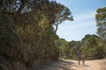 Island of Porquerolles, in the south of France