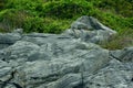 Island Rocks on Egde Green Tropical Background