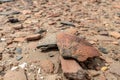 Floor scattered with thousends of pieces of scattered pottery on an archeological site on Sai Island in the Sudan Royalty Free Stock Photo