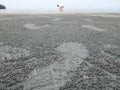 The man walking on the beach