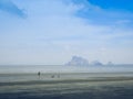 She and dogs running on the beach