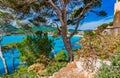 Island scenery at seaside of Canyamel beach, Majorca Spain Royalty Free Stock Photo