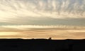 Island sea sky view with palms and beautiful mountains on the background horizon in the sunset time. Beautiful picturesque landsca Royalty Free Stock Photo