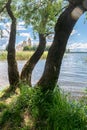 View of the lake Seliger and Nilov Monastery from the Peninsula Svetlitsa, Tver region. Royalty Free Stock Photo